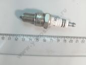 0 242 235 663   WR7D+ (0.8)[+1] BOSCH