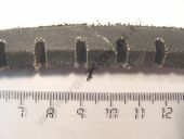 11-10-1045   -2362/-236/-238 