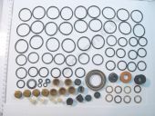 179-1111012   179. +Cu++