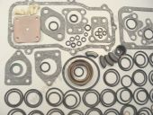 185-1111013   185. +Cu++