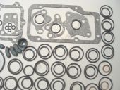 185-1111013   185. +Cu++