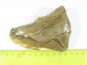 1 418 415 125   MAN BOSCH