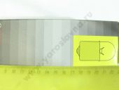 1 987 302 505  24V 10W R10W BOSCH