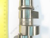 20017-11    Motorpal (4336) Motorpal