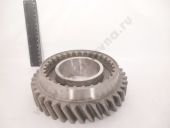 236-1701131  3-  .  37  