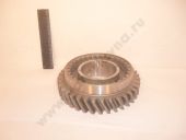 236-1701131  3-  .  37  