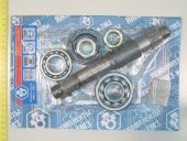 236-1308003     (+)+