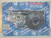 236-1308004     (+)++