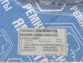 238-1003001-03      1 .