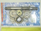 238-1308003-01   . 238 (+)+