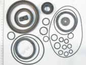 239-1700001-01   -239/-2391 , 