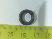 240.1005582    008-012-25-2-2 