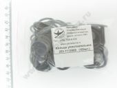 253.1112069  / 175. (175.1111164) 021-025-25-2-2 