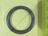 253.1116144  025-031-36-2-5 