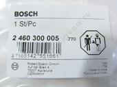 2 460 300 005    F002D13234 BOSCH