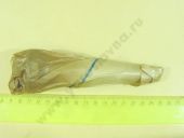 2 466 100 029   BOSCH