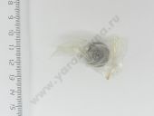 302.16.00 ������ �������������� MAN IPM