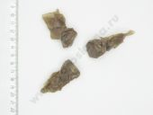 33.1111102-10.01 ������ �������������� ������ 33. ����