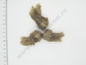 337.1111220-40.01    337. EURO 