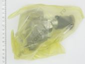 37.1106010-20   . -245/-260  ,    