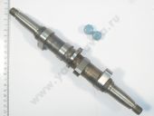 41-1604   ( ,   )  4910 