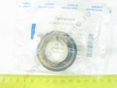 42.1111090   175. 305010 