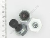 650.1130552    (5010437049 renault) 51CP24-01 