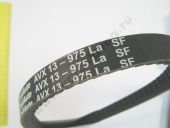 8..8669  V13-975 L Rubena