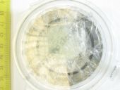 9 461 611 363   . 146100-0220 BOSCH