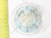 9 461 616 815  146100-0720 BOSCH