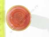 DTP 10 849  RDN12SDC6849C, 5643075 DELPHI  DTP