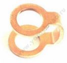 DTP 31 065  MAN, DAF d 6. , , .  DTP