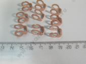 DTP 31 065  MAN, DAF d 6. , , .  DTP