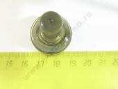 DTP 59 989   2418529989 BOSCH  DTP