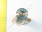 F 00R J01 704  ,   F 00R J02 806 BOSCH