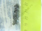 F 00Z B20 001   ( ) BOSCH