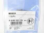 F 01M 100 176   BOSCH